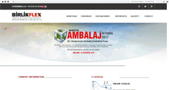 Desktop Screenshot of birlikflex.com